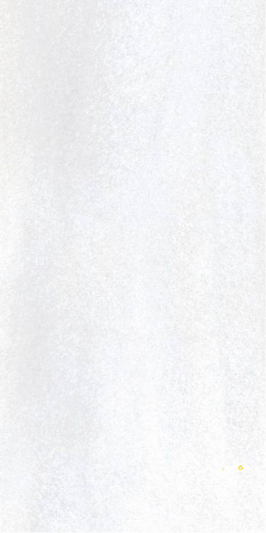 BRUCE MATTE 12" X 24" - 6
