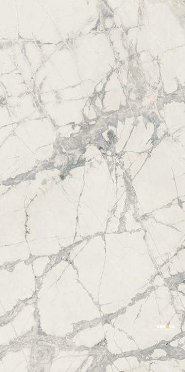 PREXIOUS MOUNTAIN TREASURE GLOSSY 12" X 24" - 6
