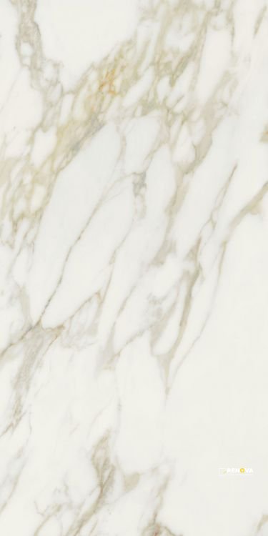ETOILE CREME GLOSSY 24" X 48" - 6