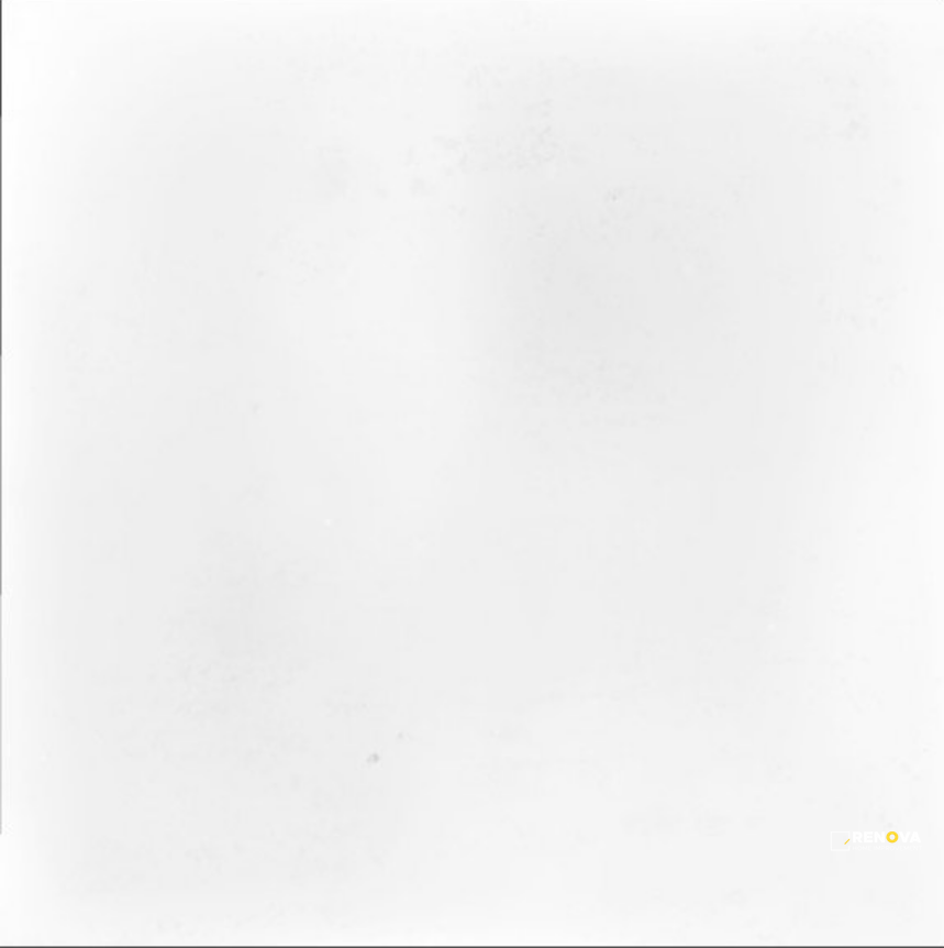 WOW MUD 5.5" X 5.5" - 10