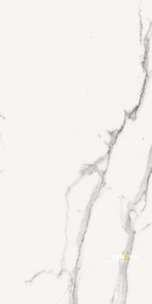 PRECIOUS HDP MATTE FIELD TILE 12" X 24" - 2