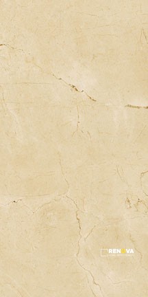 ENCHANT MATTE FIELD TILE 12" X 24" - 4