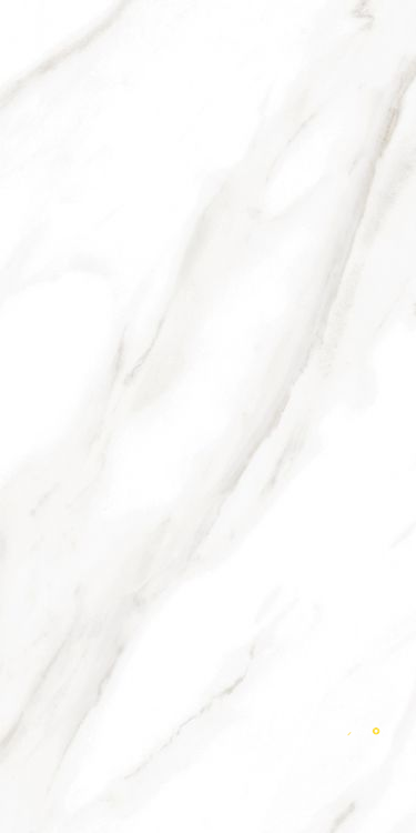 EC CALACATTA GOLD POLISHED 12" X 24" - ELYTIL1745 - 7