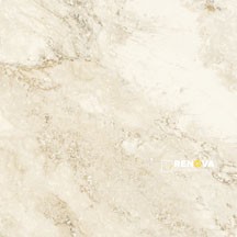 AREZZO IVORY