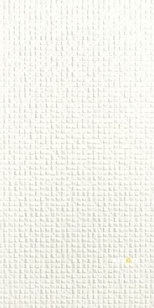 AMPLIFY GLOSSY WALL TILE G2 12" X 24" - 2