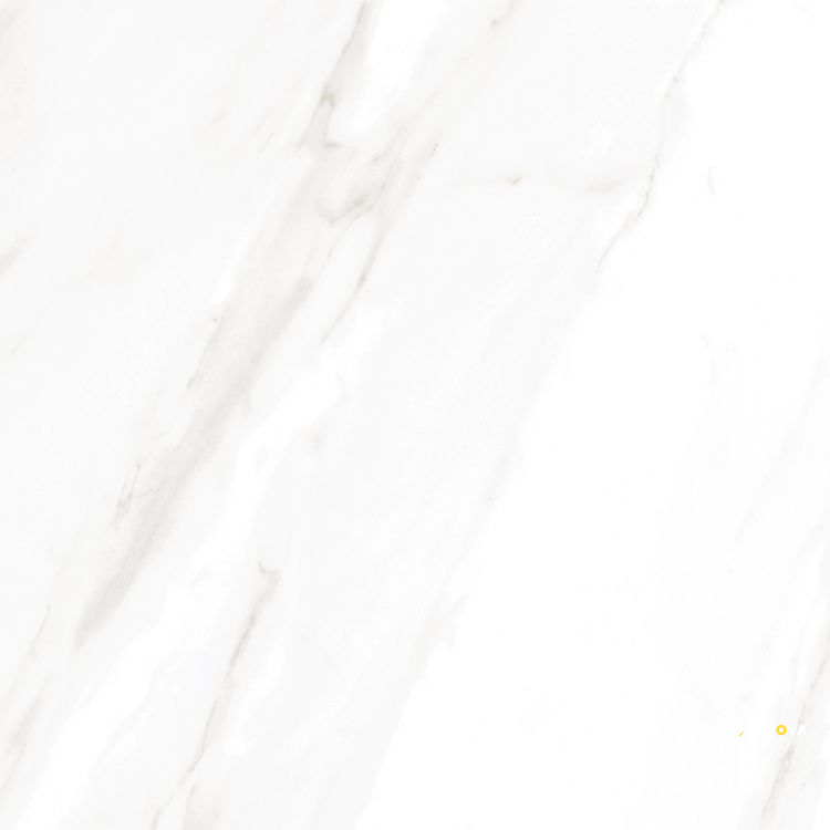 EC CALACATTA GOLD POLISHED 24" X 24" - ELYTIL1746 - 9
