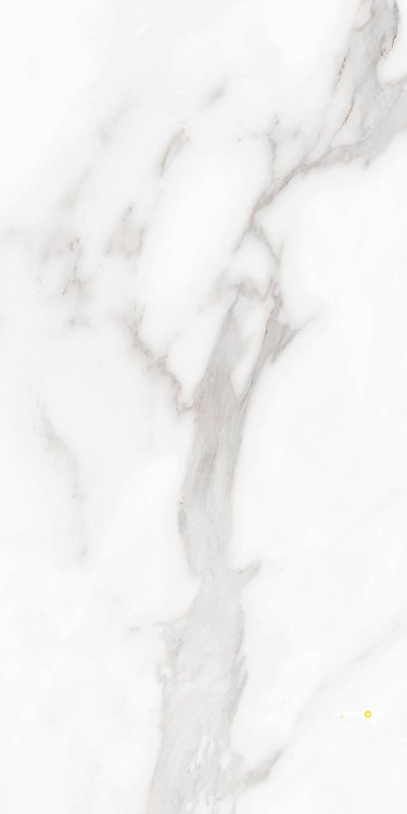 CARENZA BIANCA MATTE 12" X 24" - 7
