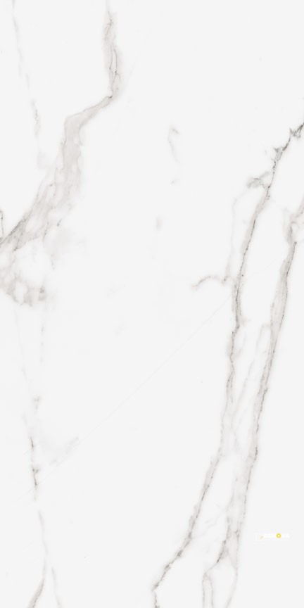 PRECIOUS HDP MATTE FIELD TILE 24" X 48" - FLOTIL1610 - 2