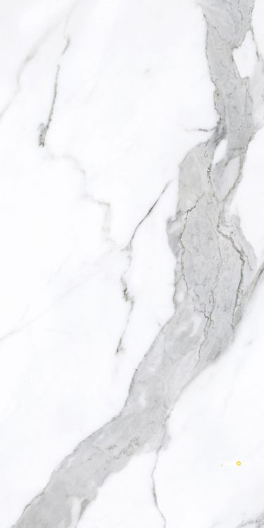PRESTIGIO STATUARIO LUCIDO 24" X 48" - 2