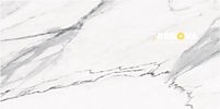 MARMO REALE MATTE 12" X 24" - 5