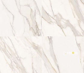 MARMO REALE MATTE 24" X 24" - ZCOLTIL5669 - 4