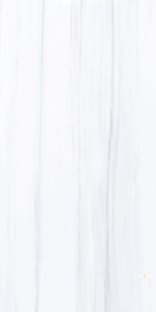 AN DOLOMITE SUPREME MATTE 24" X 48" - 5