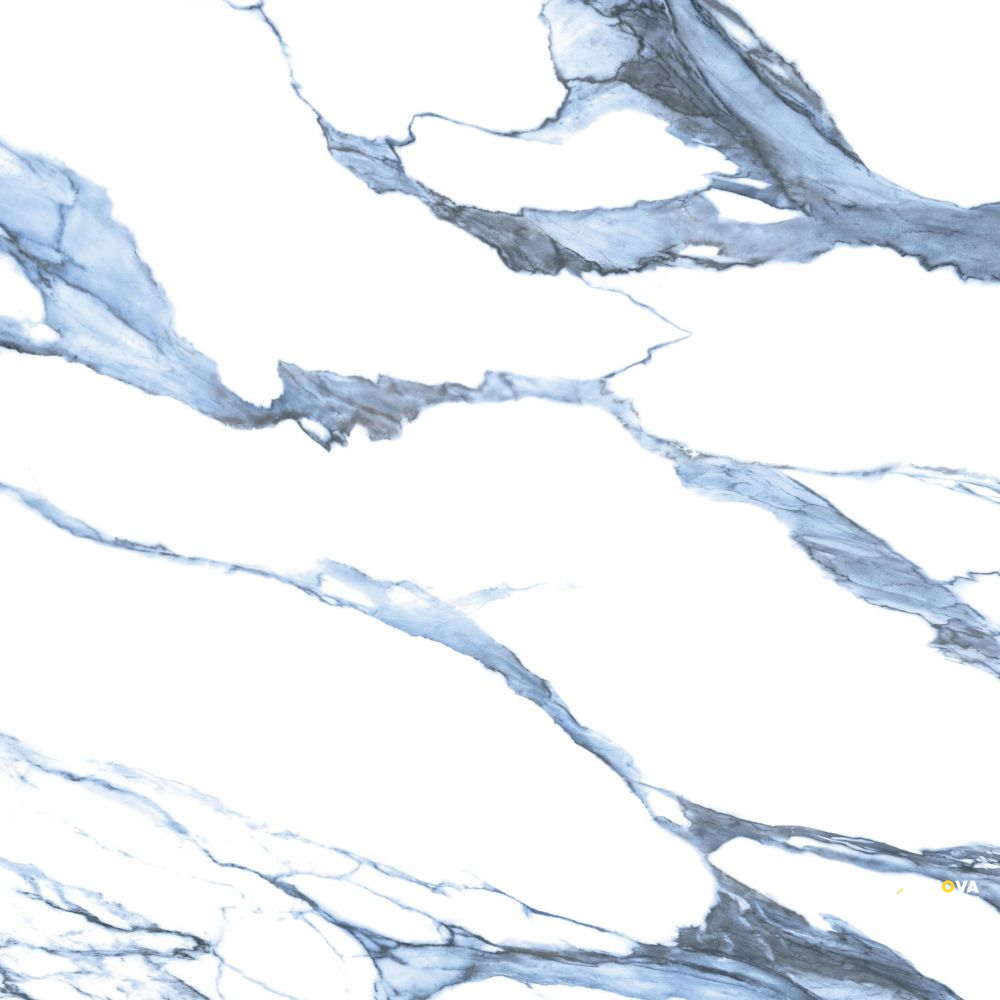 CALACATTA BLUE MATTE 48" X 48" - 5
