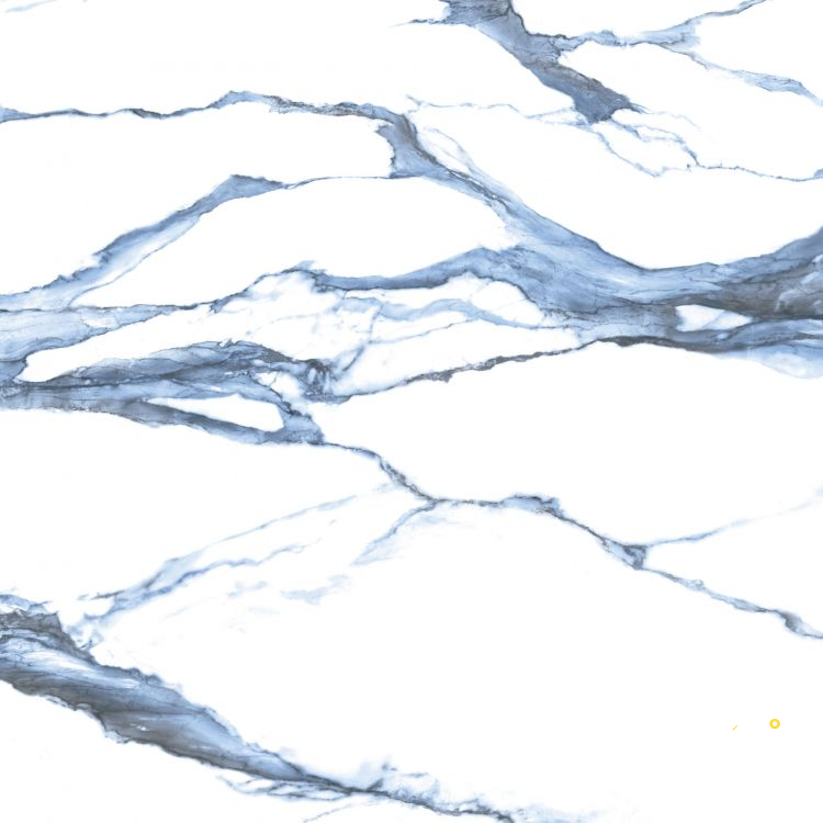 CALACATTA BLUE POLISHED 48" X 48" - 5