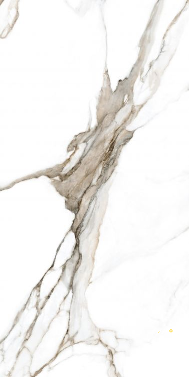 CALACATTA FANTASY TOPO POLISHED 24" X 48" - 9