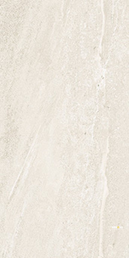 TEMPO MATTE FIELD TILE 12" X 24" - 2