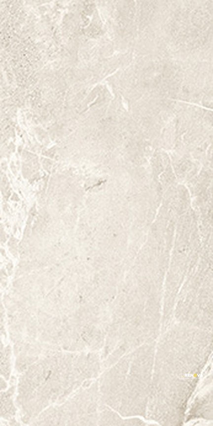 TEMPO MATTE FIELD TILE 12" X 24" - 3