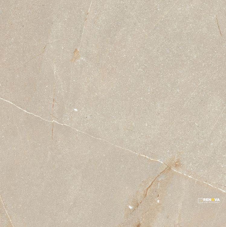 MADISON BONE 24" X 24" - ELYTIL1197 - 7