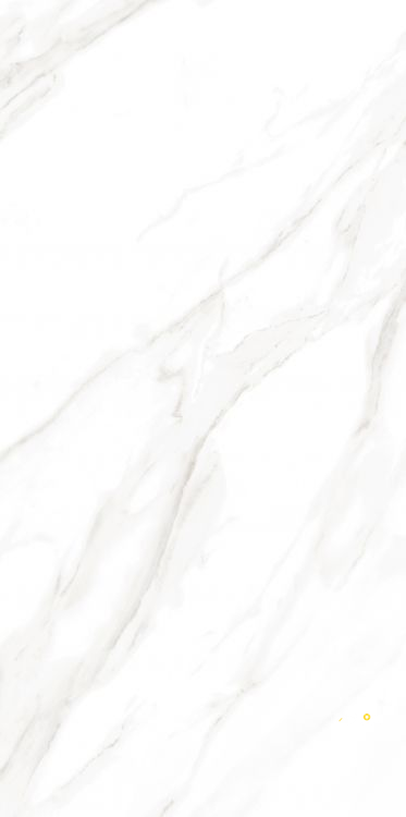 EC CALACATTA GOLD MATTE 24" X 48" - ELYTIL1560 - 4