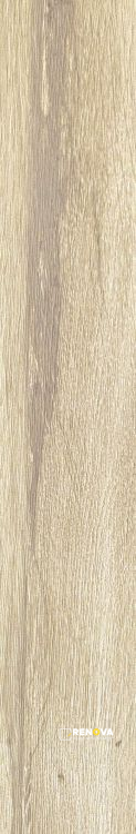 PLANCHES AMANDE 6" X 36" - ELYTIL1496 - 5