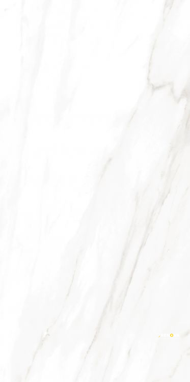 EC CALACATTA GOLD POLISHED 24" X 48" - ELYTIL1563 - 4