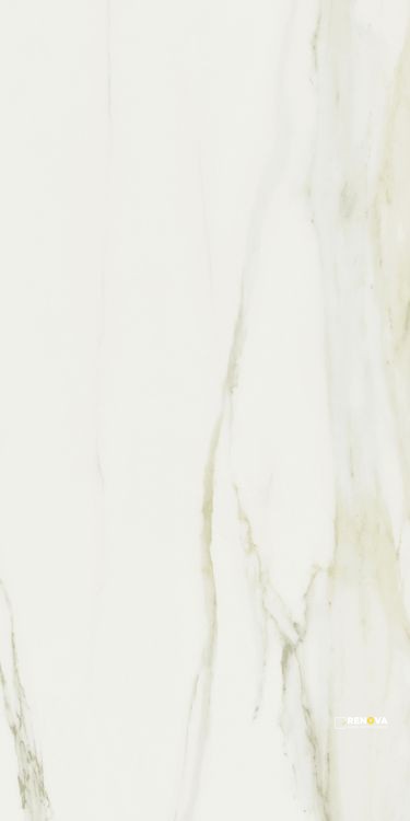 CLASSICI CALACATTA GOLD GLOSSY 24" X 48" - ELYTIL1319 - 2