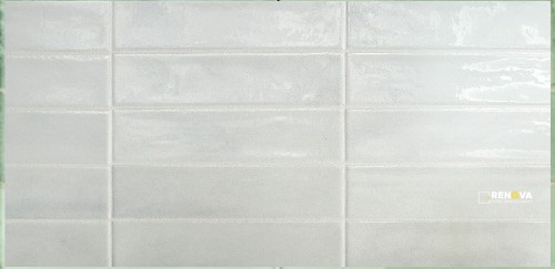 TROPICAL GLOSSY 2" X 10" - 8