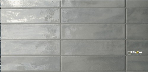 TROPICAL GLOSSY 2" X 10" - 9