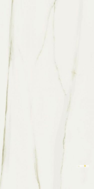 CLASSICI CALACATTA GOLD MATTE 24" X 48" - ELYTIL1464 - 2
