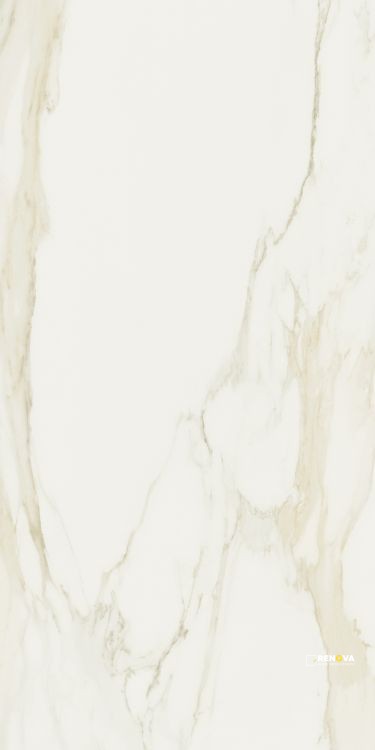 CLASSICI CALACATTA GOLD GLOSSY 32" X 71" - ELYTIL304 - 2
