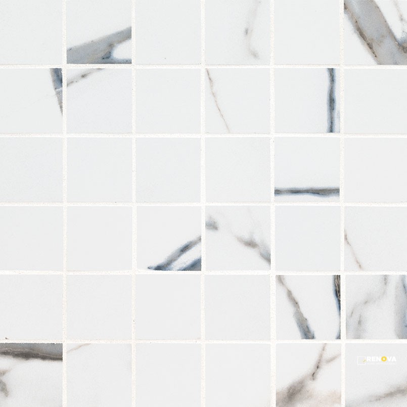 SAVOY AZULA 2X2 MATTE MOSAIC - 2