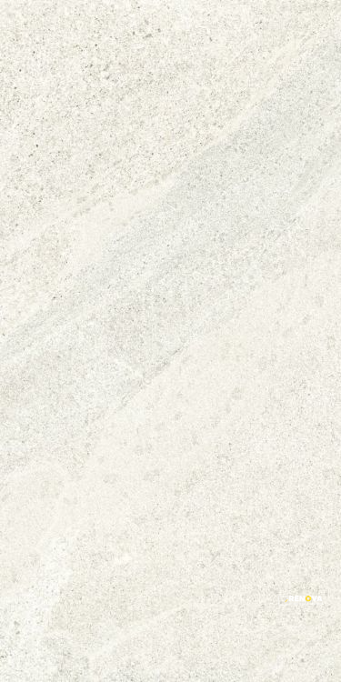 TUNE SNOW 12" X 24" - 2