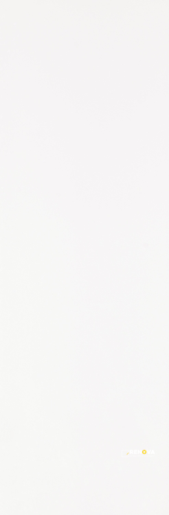 WHITE POLISHED CERAMIC WALL 12" X 36" - 3