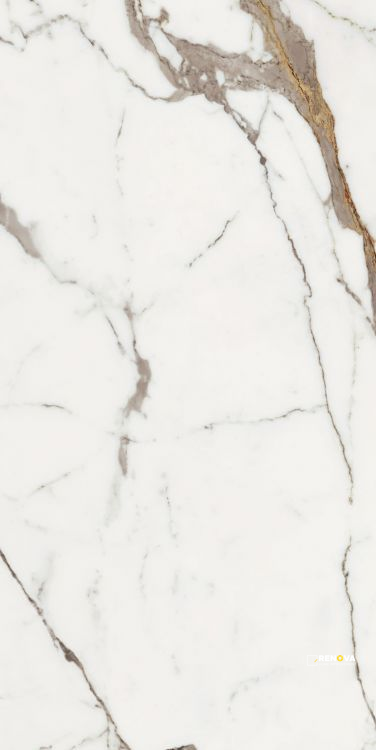 ORIGINES OR MATTE 24" X 48" - 14