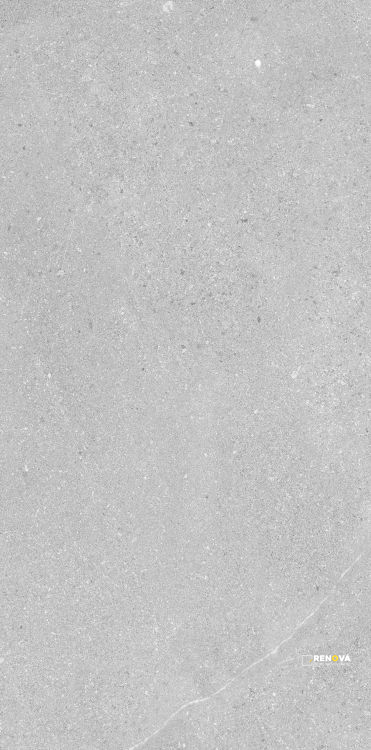 MADISON ARGENT 12" X 24" - 5