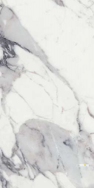 ORIGINES ARGENT GLOSSY 24" X 48" - 4