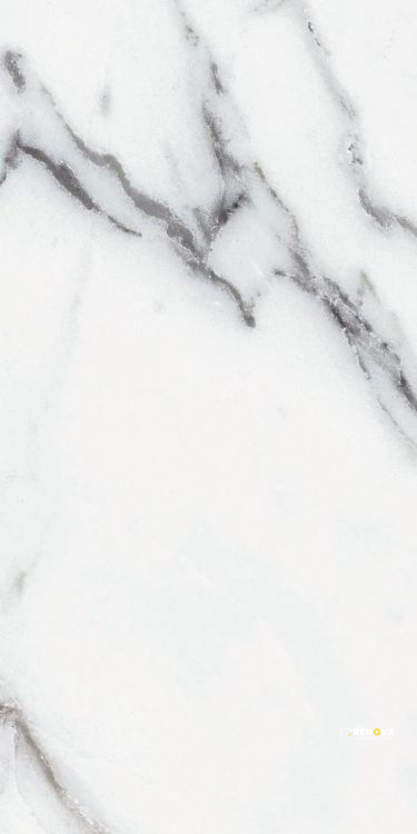 ORIGINES ARGENT MATTE 12" X 24" - 14