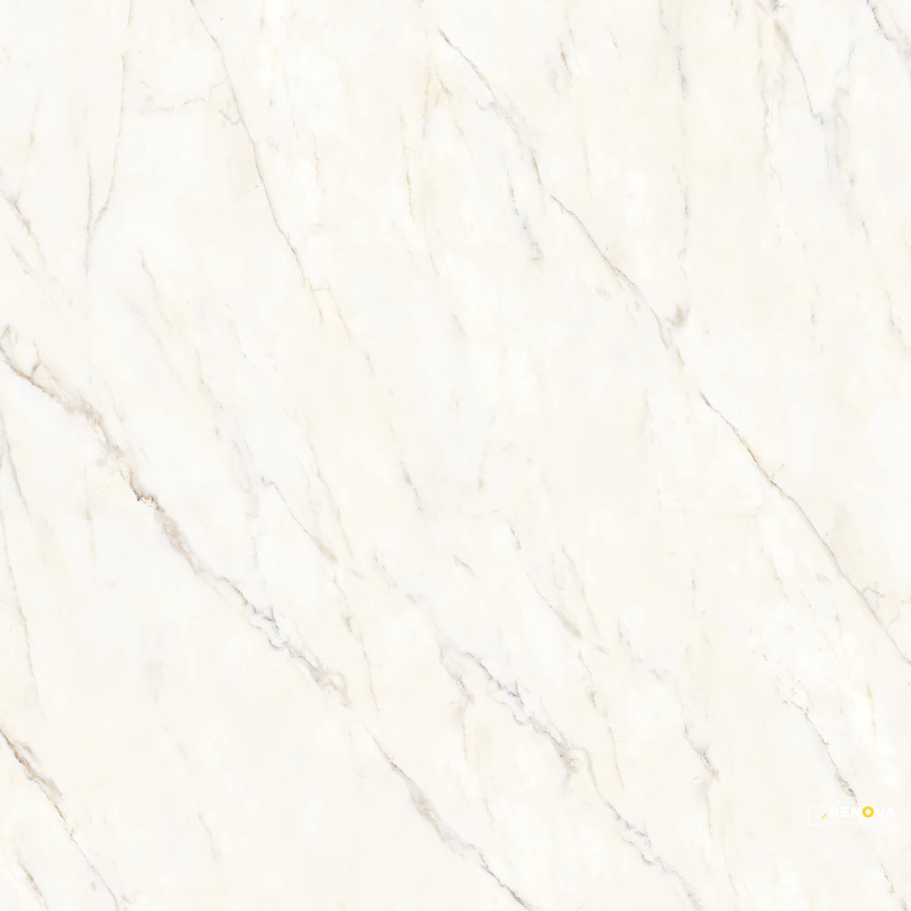 MAGNIFICA THE THIRTIES CALACATTA ORO HONED 30" X 30" - 2