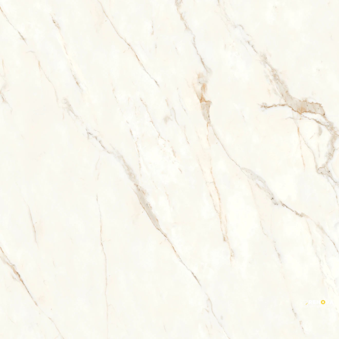 MAGNIFICA NINETEEN FORTY EIGHT CALACATTA ORO POLISHED 48" X 48" - 2