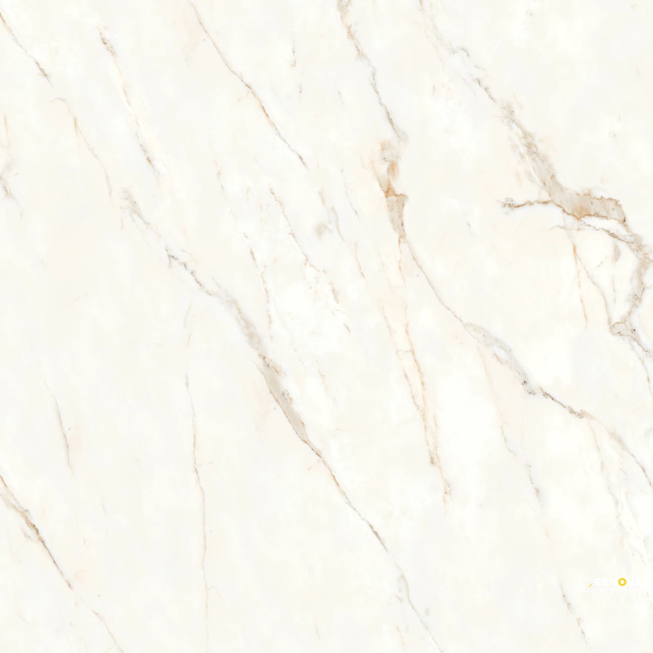 MAGNIFICA NINETEEN FORTY EIGHT CALACATTA ORO HONED 48" X 48" - 2
