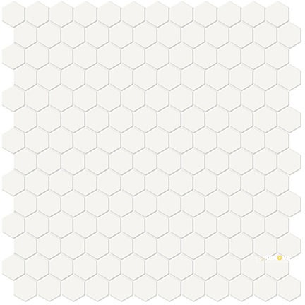 CANVAS WHITE