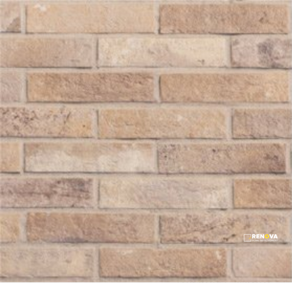 BRICK BRISTOL 2.5" X 10" - 5