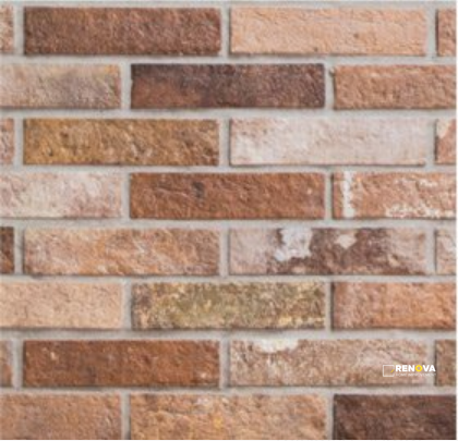 BRICK BRISTOL 2.5" X 10" - 7