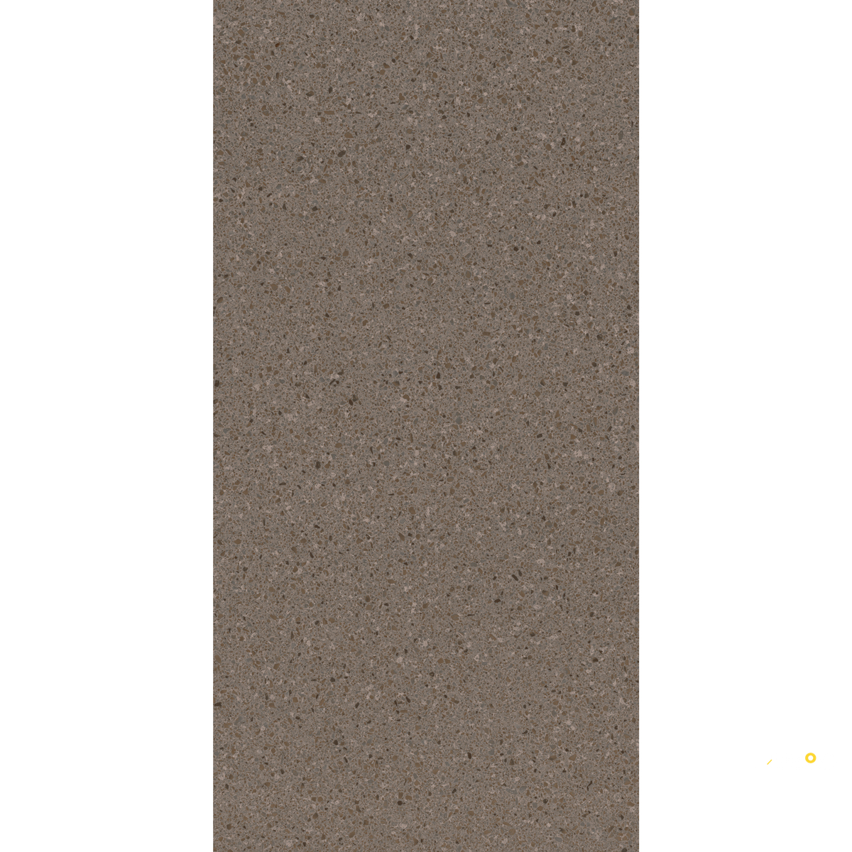 CROSSVILLE ALASKA TUNDRA 24X48 FIELD UNPOLISHED - 3