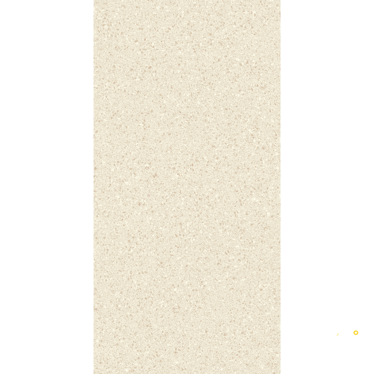 CROSSVILLE ALASKA BONE 24X48 FIELD UNPOLISHED - 2