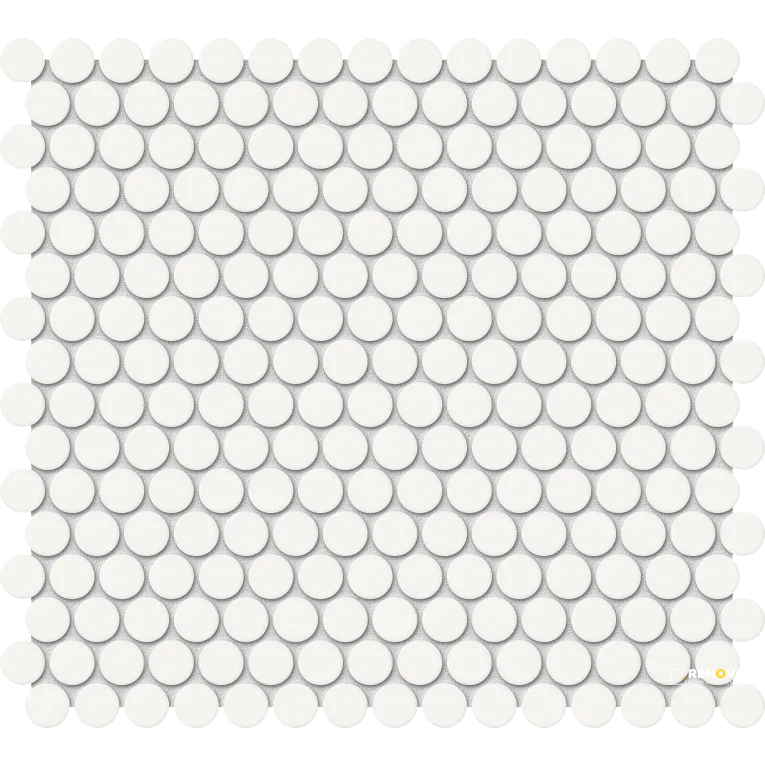 CANVAS WHITE GLOSSY