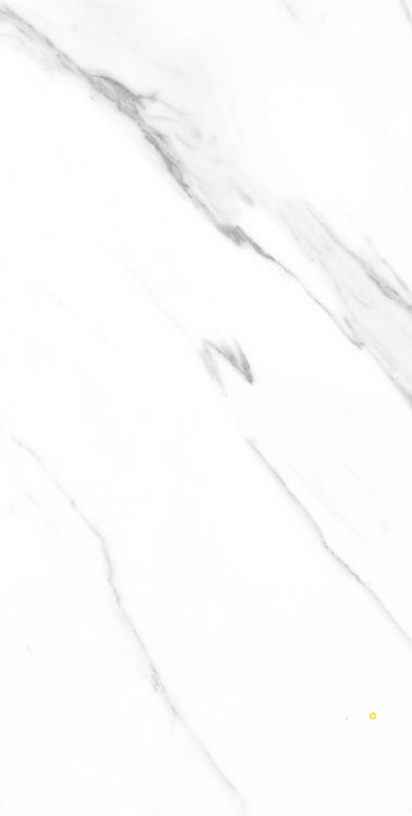AGL CARRARA POLISHED 12" X 24" - 6