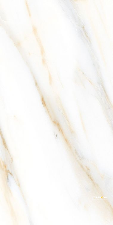 AGL CALACATTA GOLD POLISHED 12" X 24" - 5
