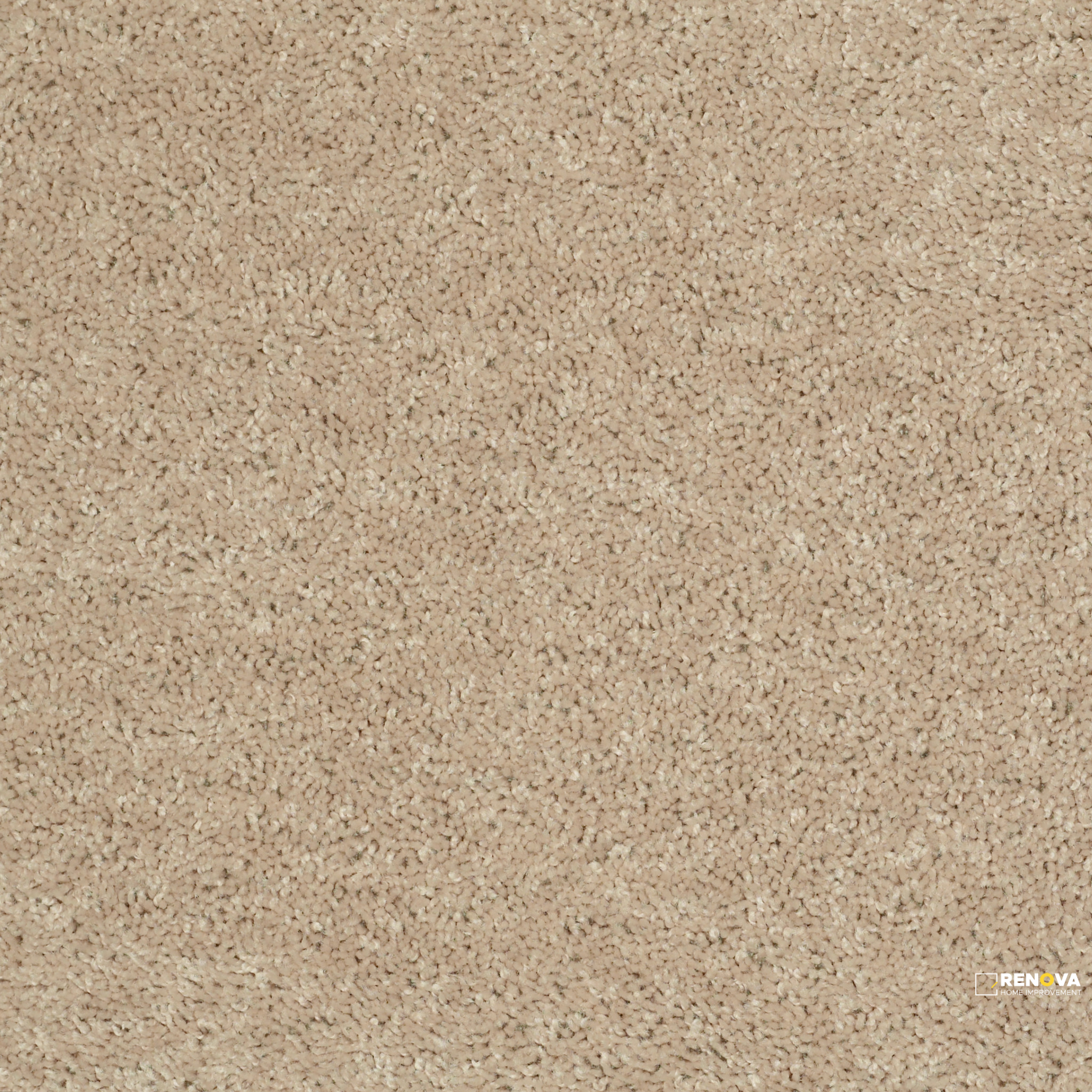 FLAX SEED
