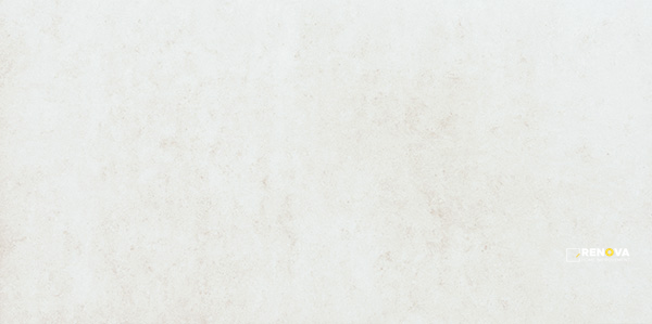 TIMELESS ICE NATURAL 12" X 24" - 3